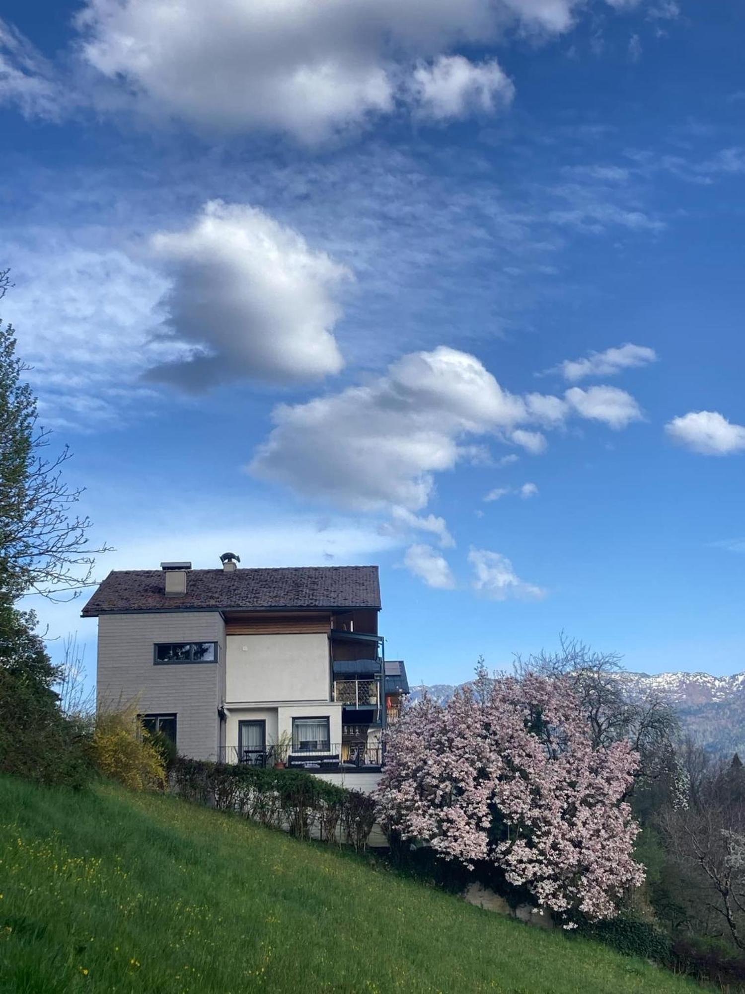 Wolfgangsee Appartment Saint Wolfgang Buitenkant foto